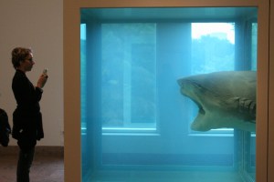 1693491849_ece82bc189_o