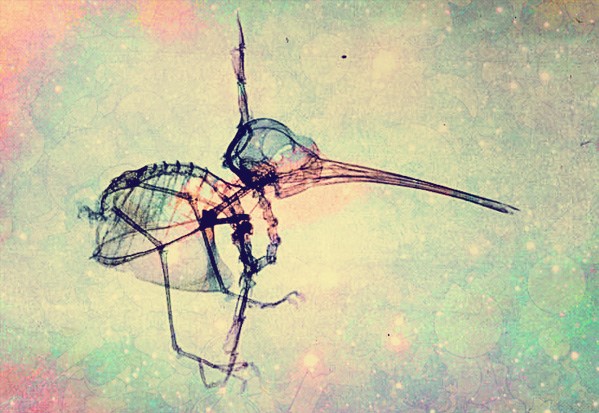 5137369643_c0e016f340_b